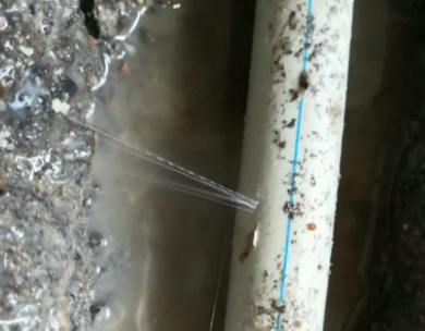 薛城测漏水哪家好